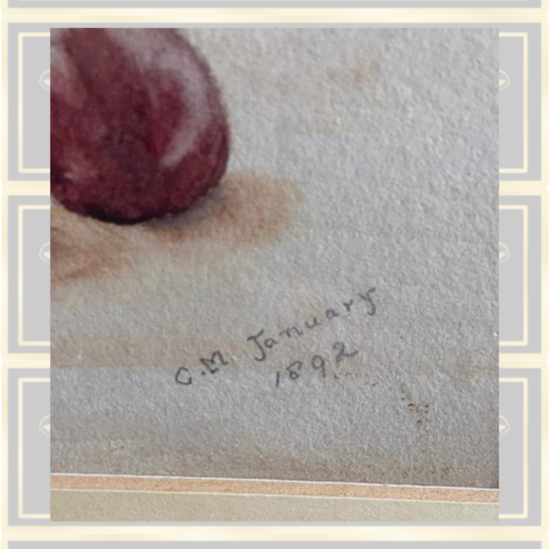 Still Life Fruit Painting Signed C.M January 1892
