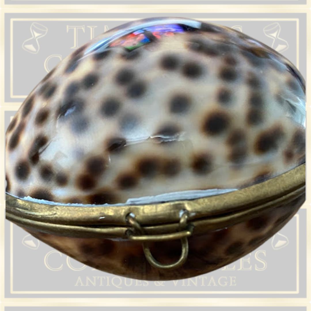 Vintage Shell Trinket Box /Snuff Box
