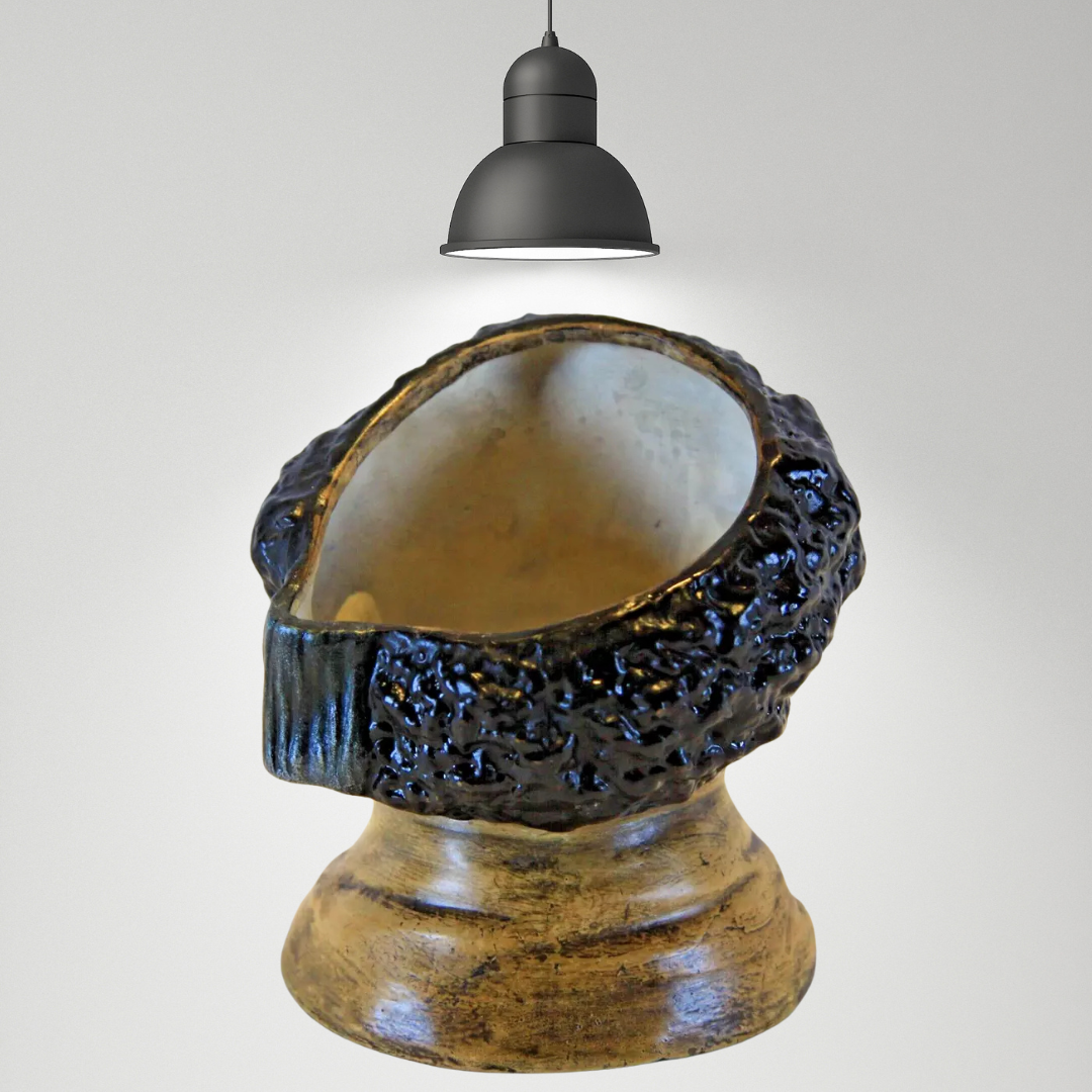 Antique Austrian Pottery Tobacco Jar modelled as a Moorish Boy.