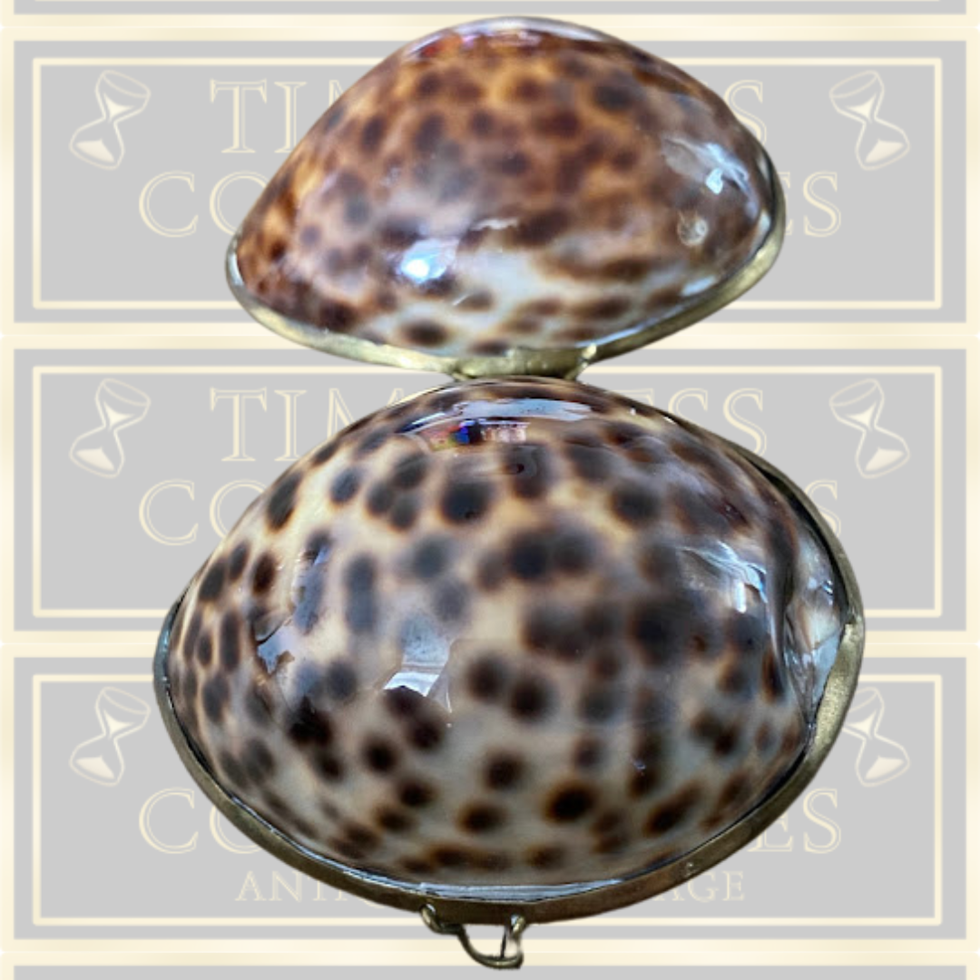 Vintage Shell Trinket Box /Snuff Box
