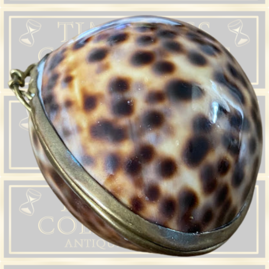 Vintage Shell Trinket Box /Snuff Box