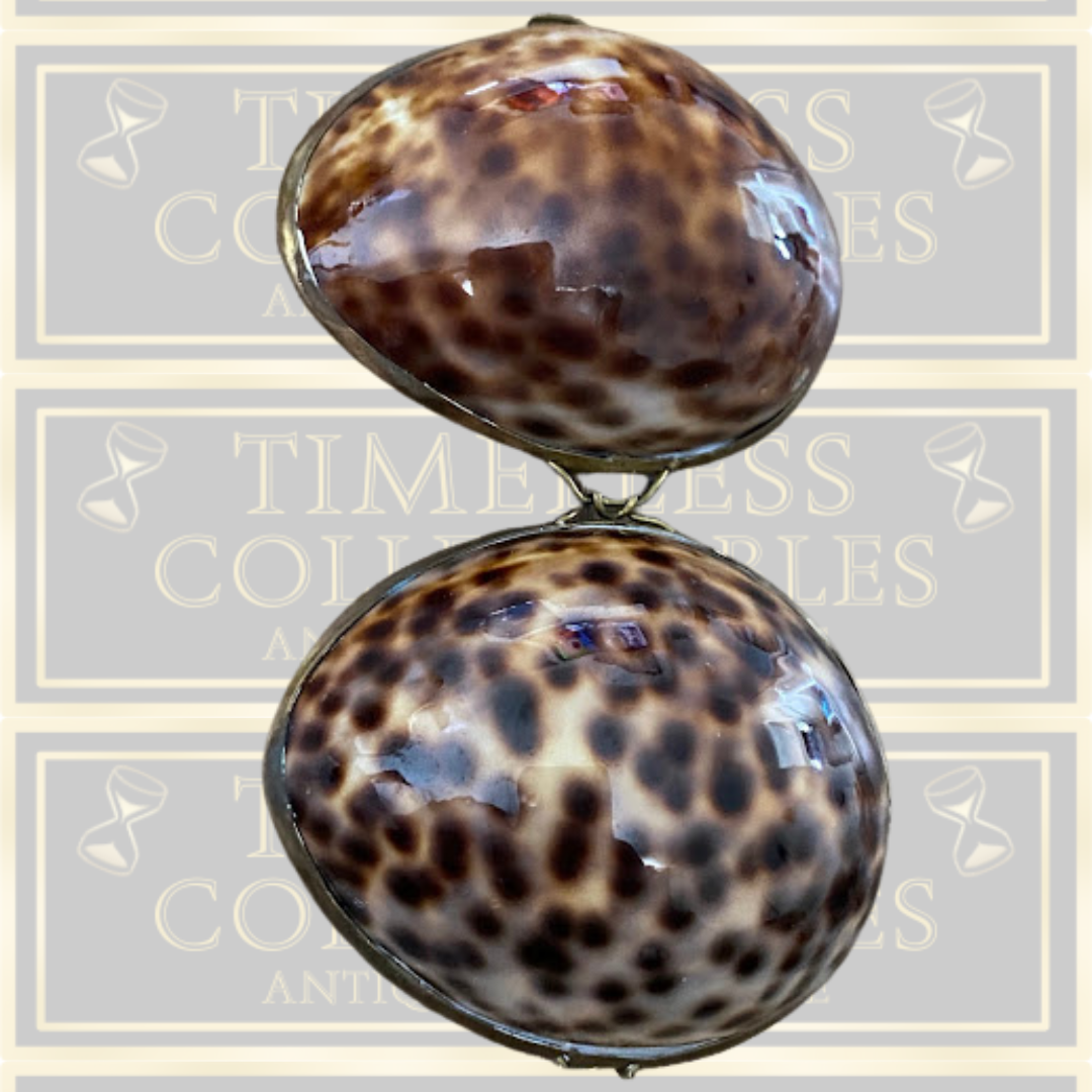 Vintage Shell Trinket Box /Snuff Box