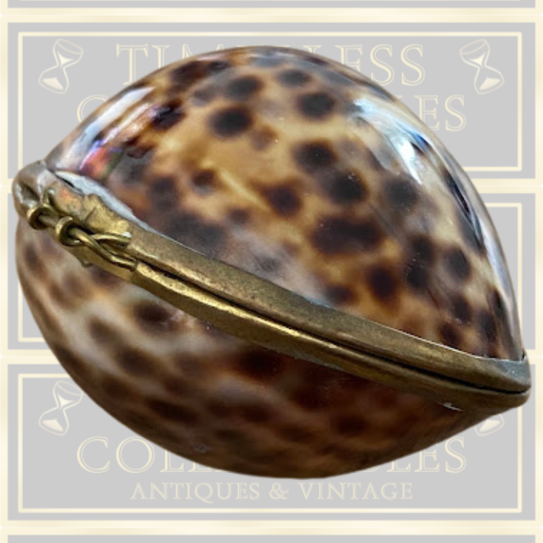 Vintage Shell Trinket Box /Snuff Box