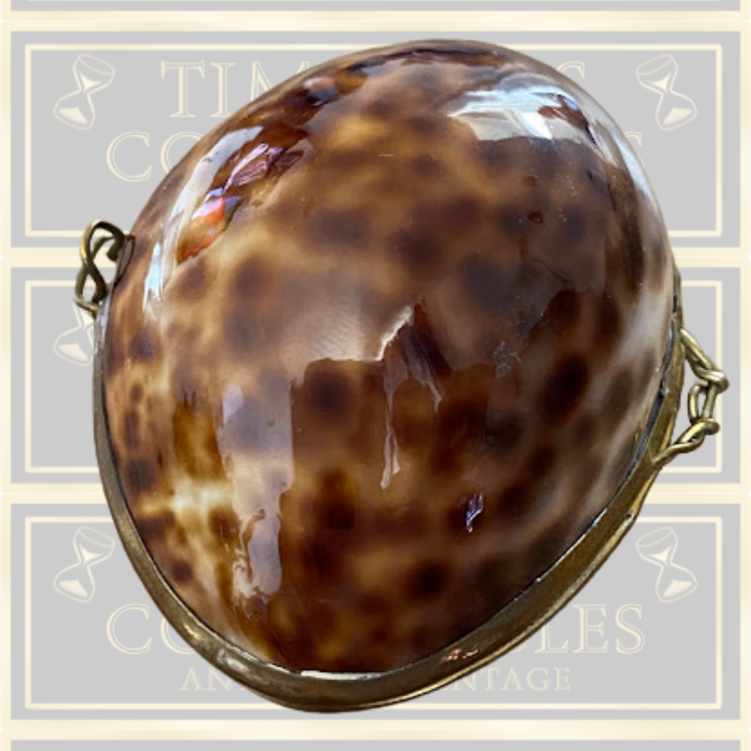 Vintage Shell Trinket Box /Snuff Box