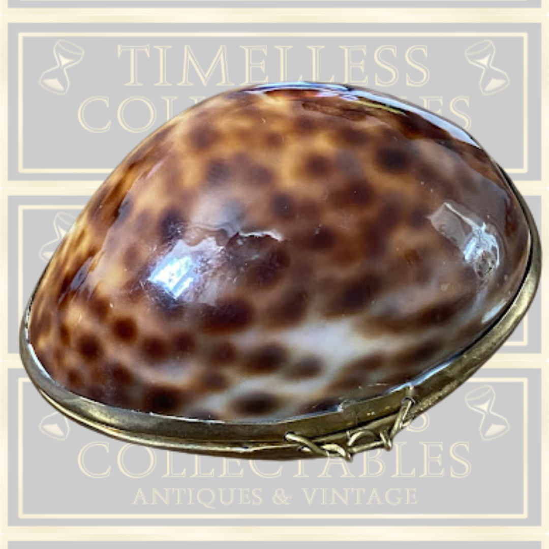 Vintage Shell Trinket Box /Snuff Box