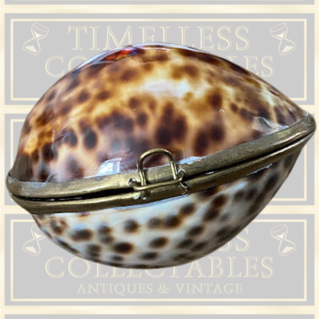 Vintage Shell Trinket Box /Snuff Box