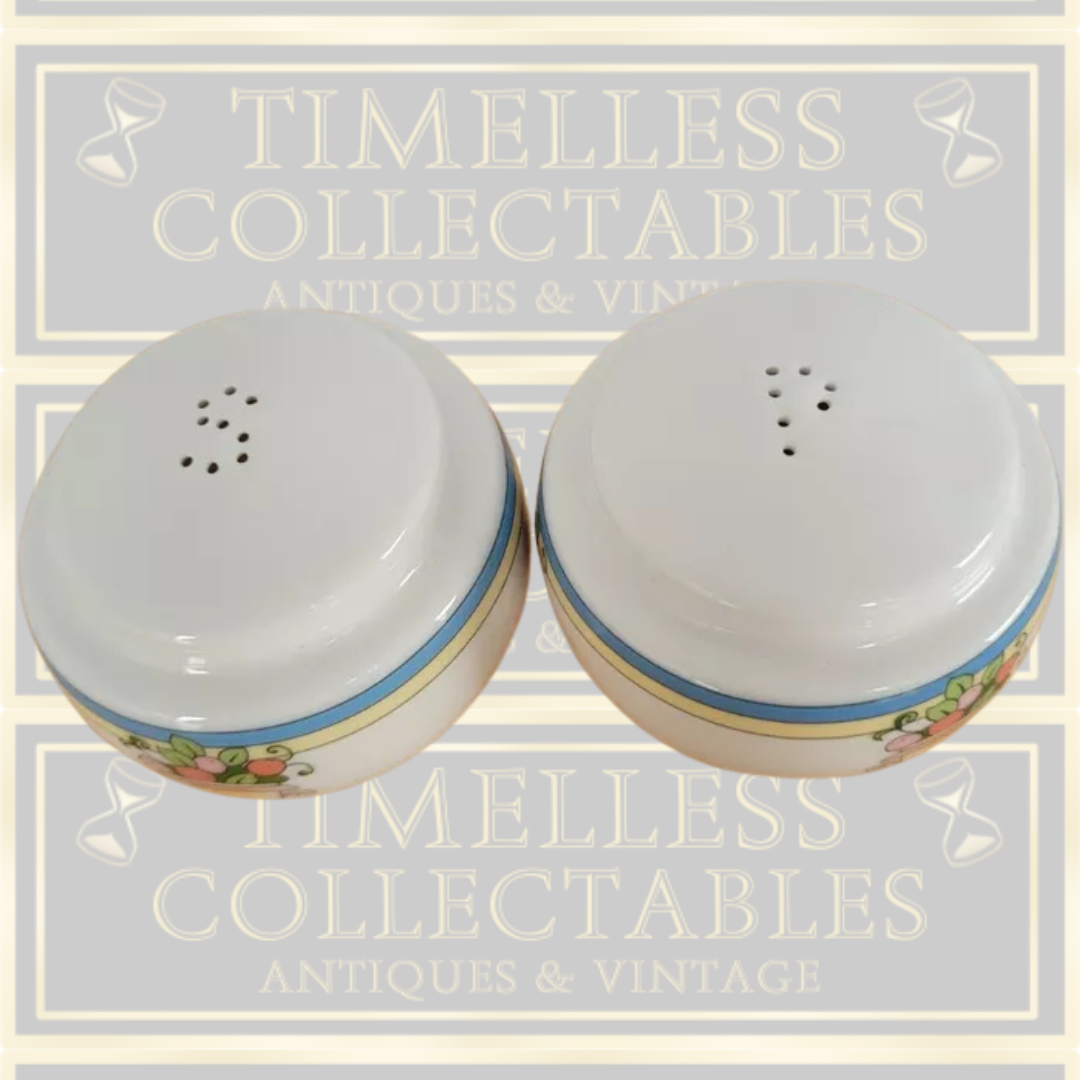 Vintage Villeroy & Boch Salt & Pepper Shakers