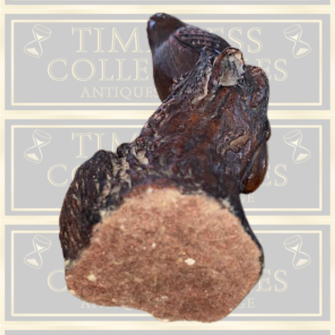 Vintage Black Forest Hand Carved Hawk Bird