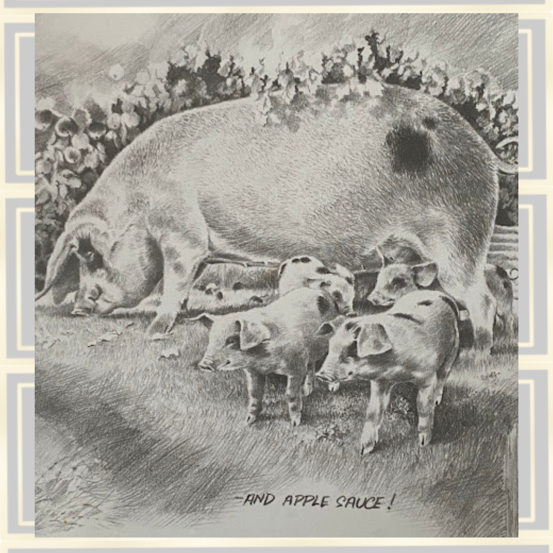 Joel Kirk Pig/Piglets Signed Framed Pencil Drawing Print