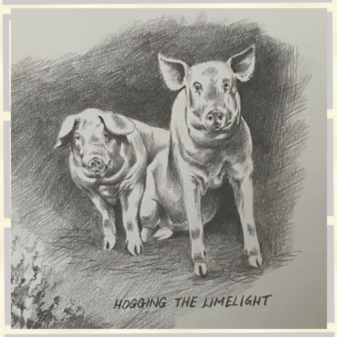Joel Kirk Pig/Piglets Signed Framed Pencil Drawing Print