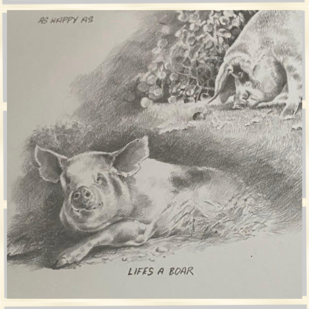 Joel Kirk Pig/Piglets Signed Framed Pencil Drawing Print
