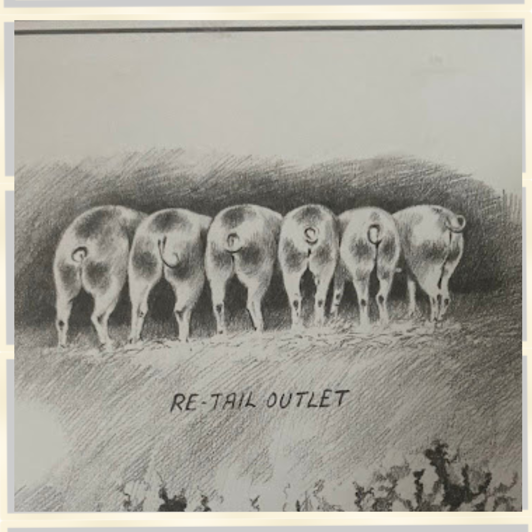 Joel Kirk Pig/Piglets Signed Framed Pencil Drawing Print