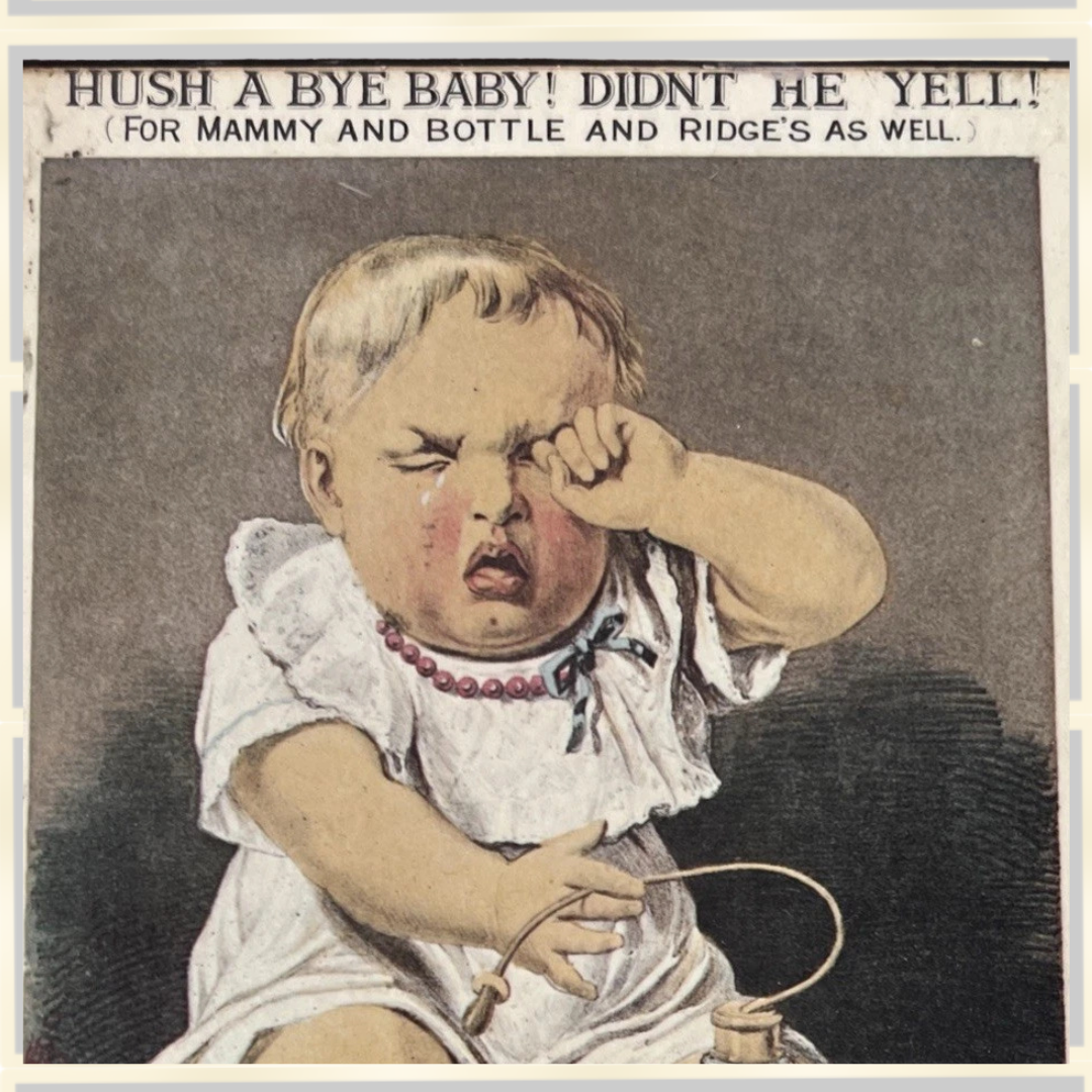 Antique Advertising - DR Ridges Food For Infants