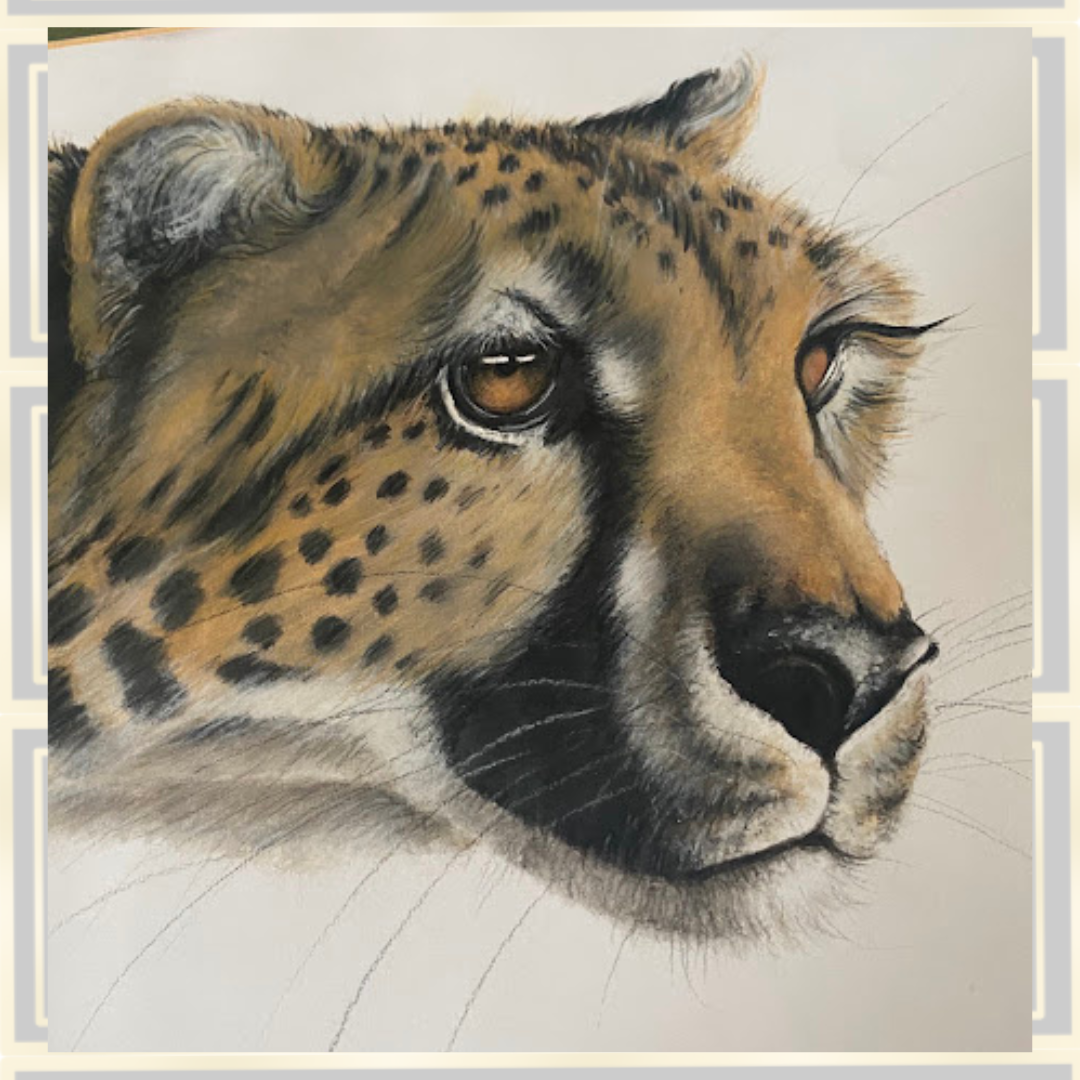 Coloured Pencil & Watercolour Painting Cheetah's Head