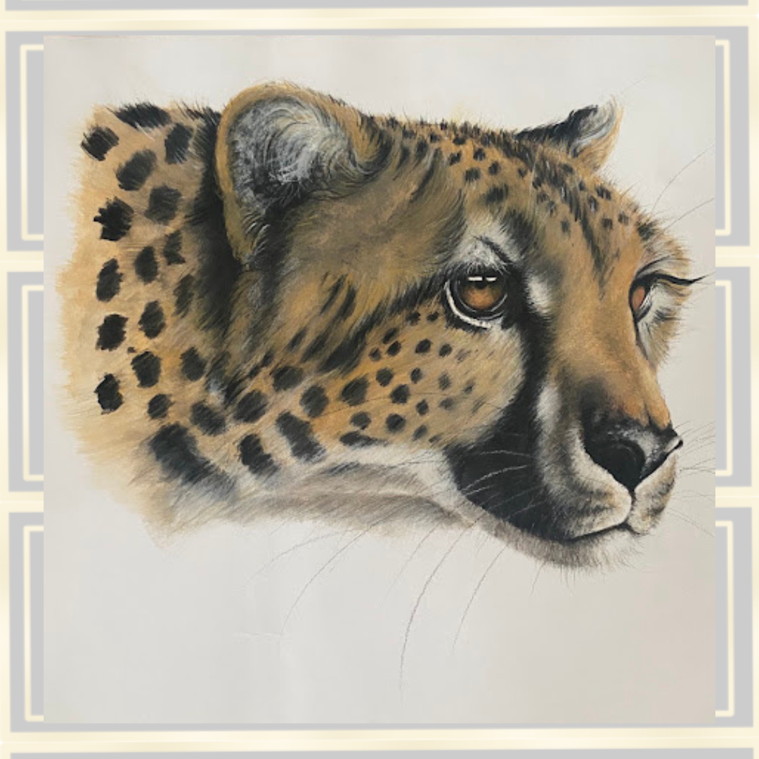 Coloured Pencil & Watercolour Painting Cheetah's Head