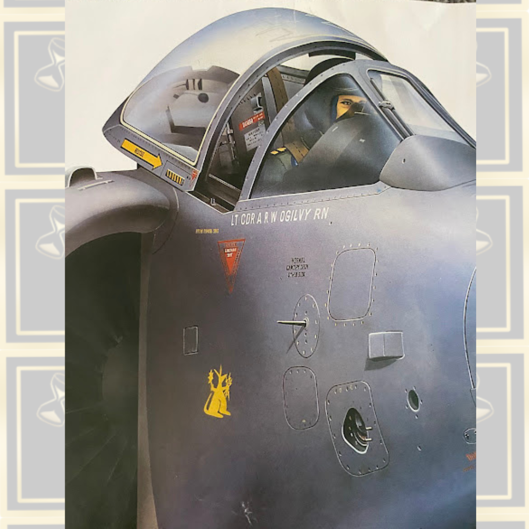 Very Large Vintage British Aerospace Sea Harrier FRS Mk1 Display