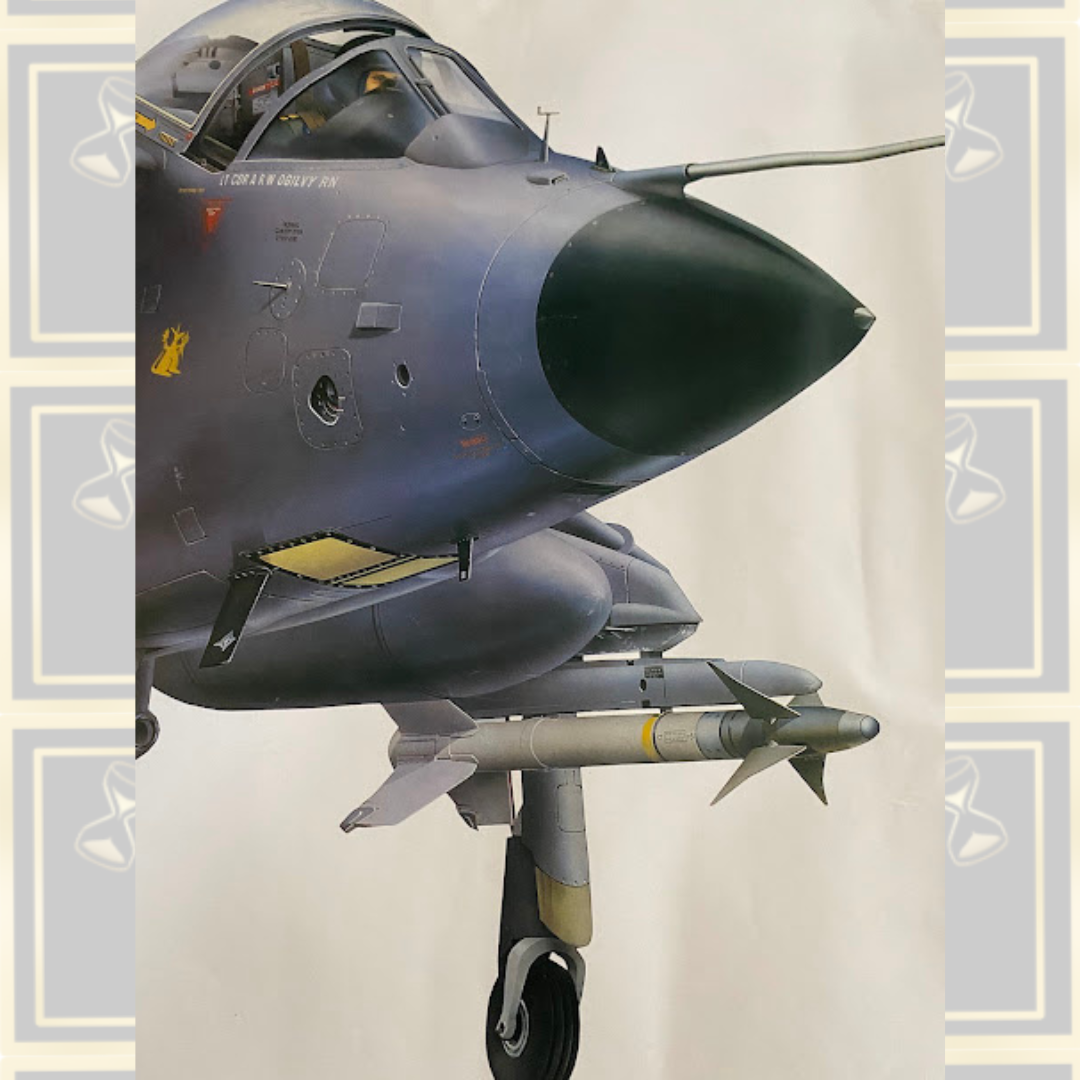 Very Large Vintage British Aerospace Sea Harrier FRS Mk1 Display