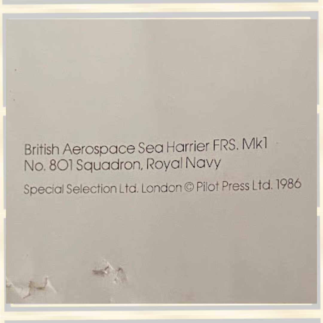 Very Large Vintage British Aerospace Sea Harrier FRS Mk1 Display