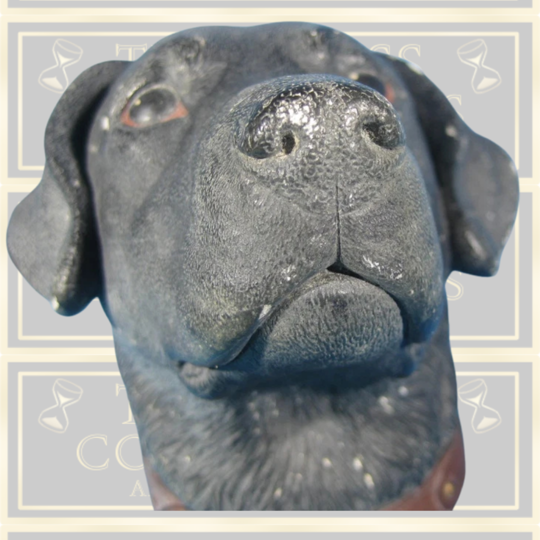 Vintage Bossons Black Lab Labrador Chalk Ware