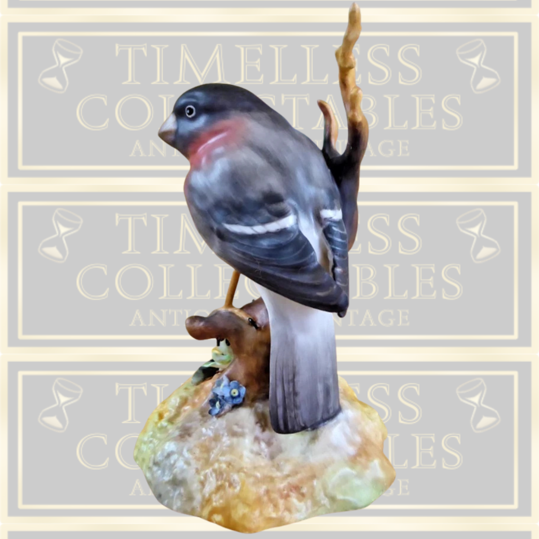 Vintage Royal Crown Derby Bullfinch