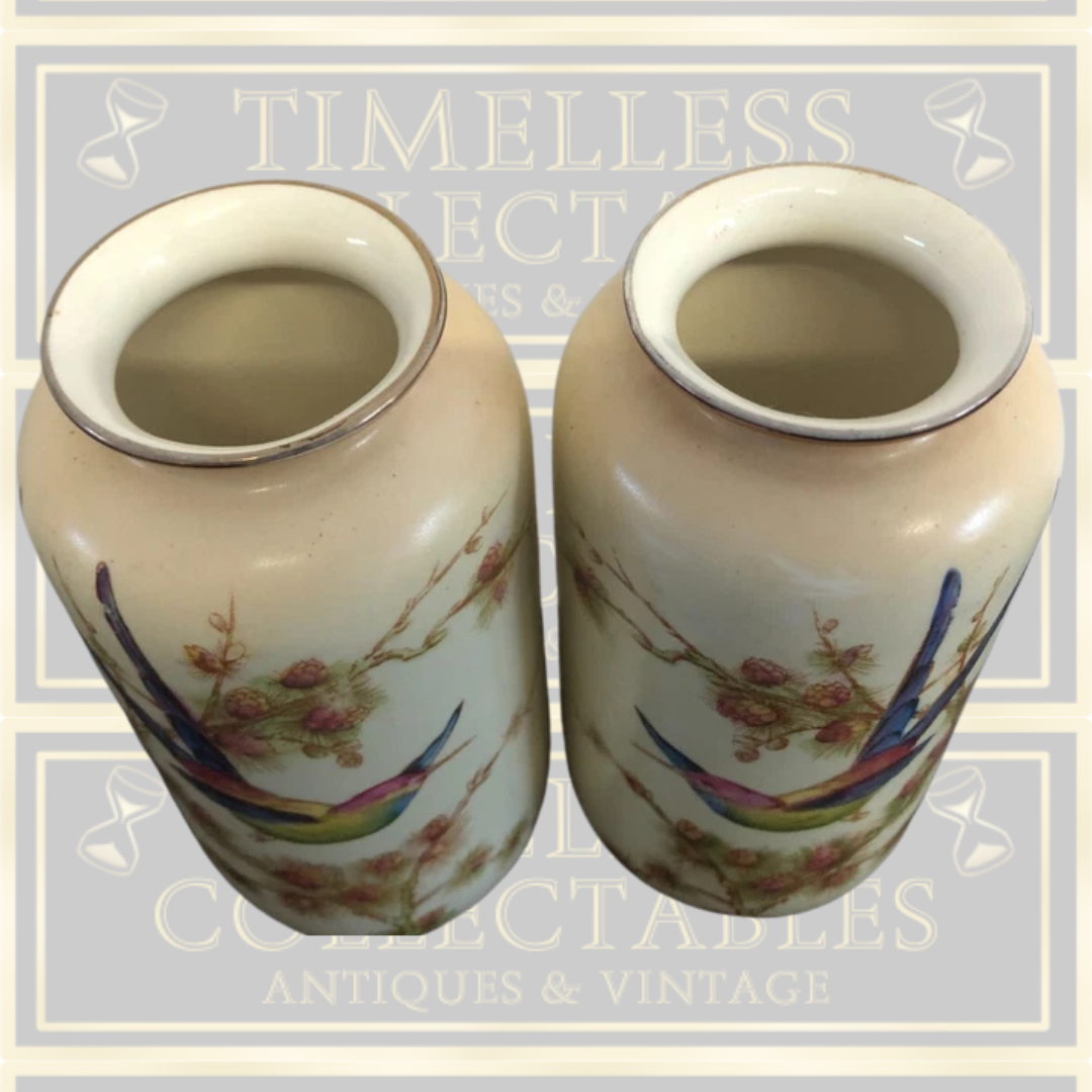 Antique Pair Crown Ducal Blush Ivory Vases Exotic Birds Design
